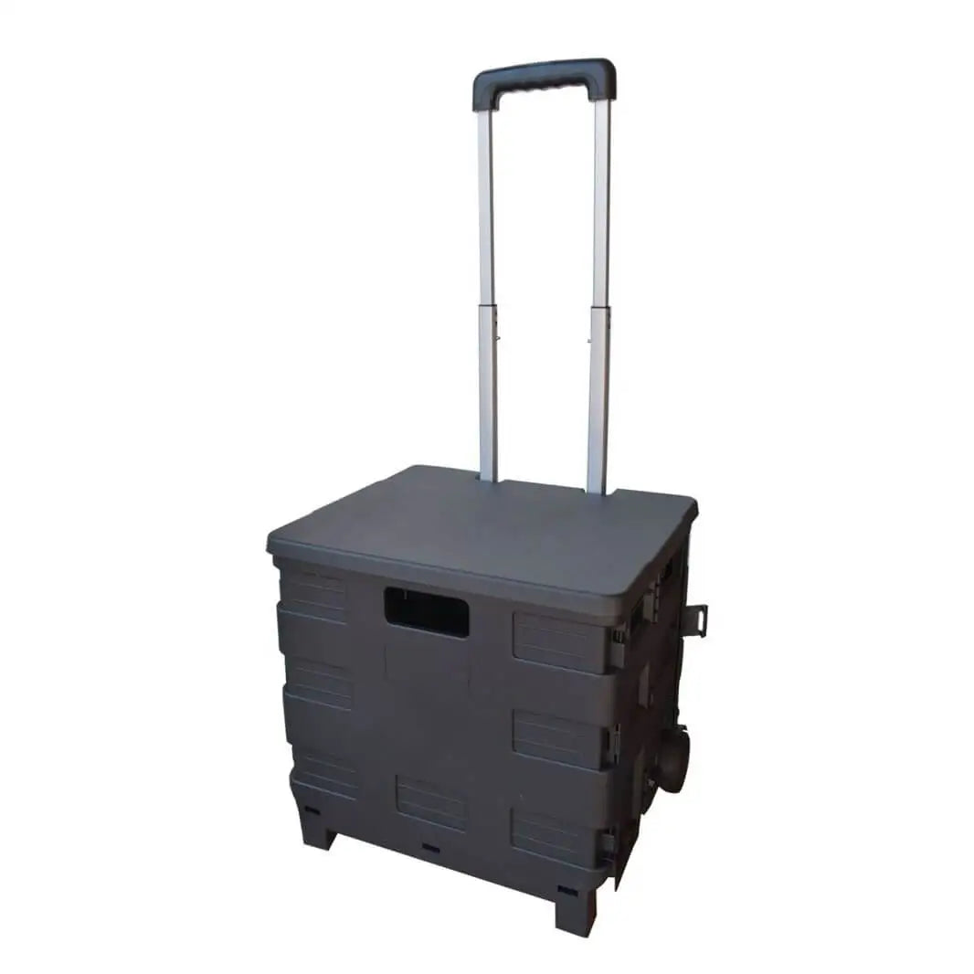 Folding Plastic Book With Wheels Double-Wheel Shopping Cart For Storage